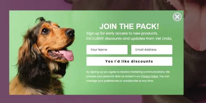 A clear and simple pop-up for an email newsletter
