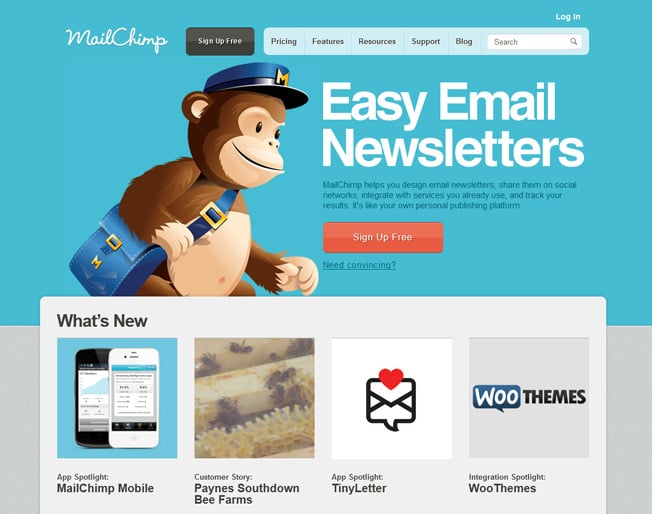 mailchimp homepage image and conversions