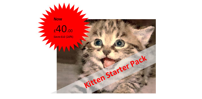 kitten starter pack