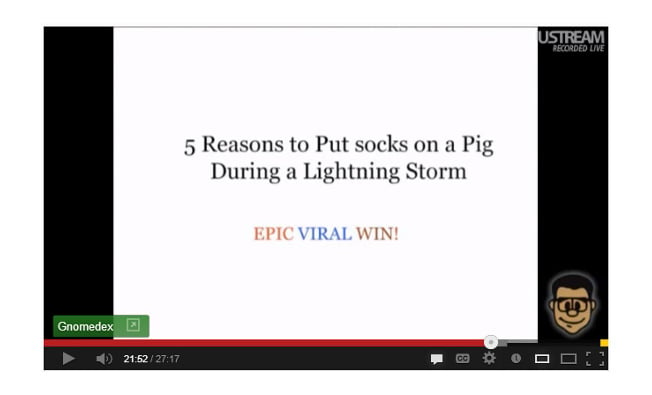 how to go viral - pig lightning socks