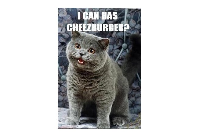 Happens To The Best Of Us - I Can Has Cheezburger?