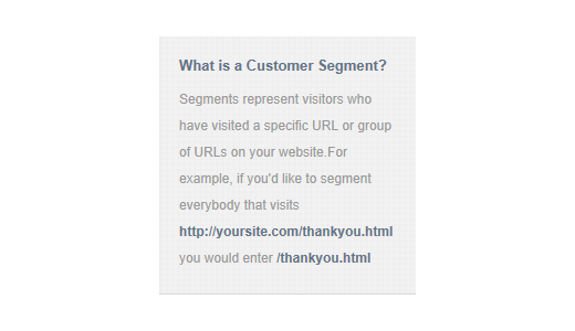 what is a customer segment
