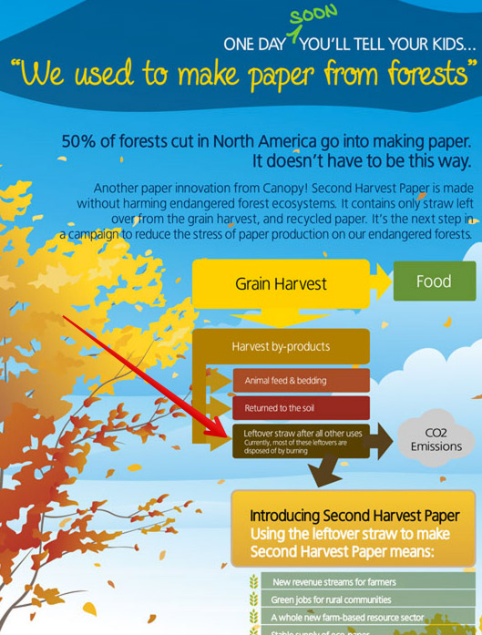 5 Baum-Infografik