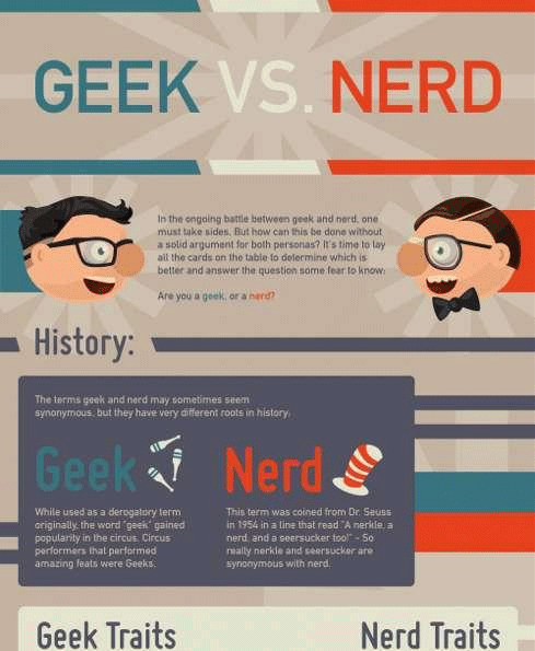 infographic vs