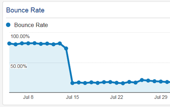 The Google Analytics graphs does not appear. What should I do