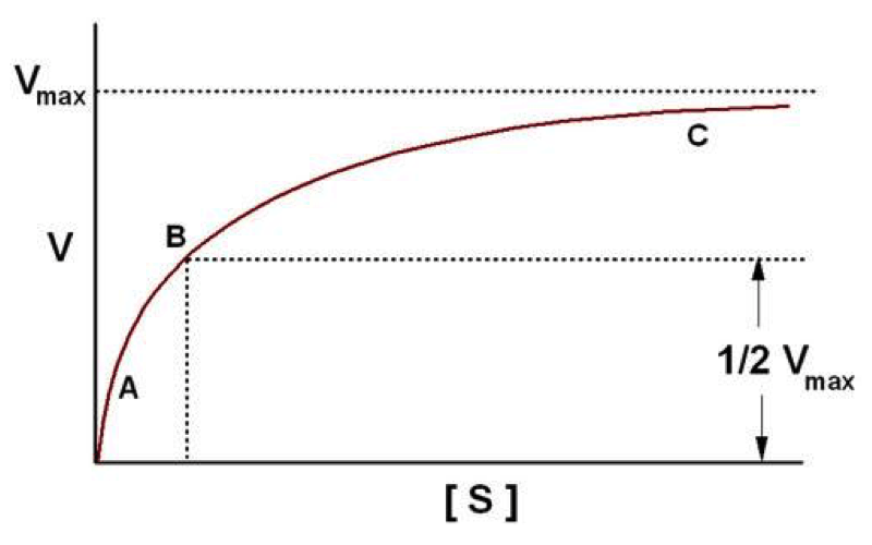 hyperbolic curve inverted