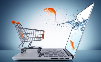 goldfish in cart – e-commerce concept