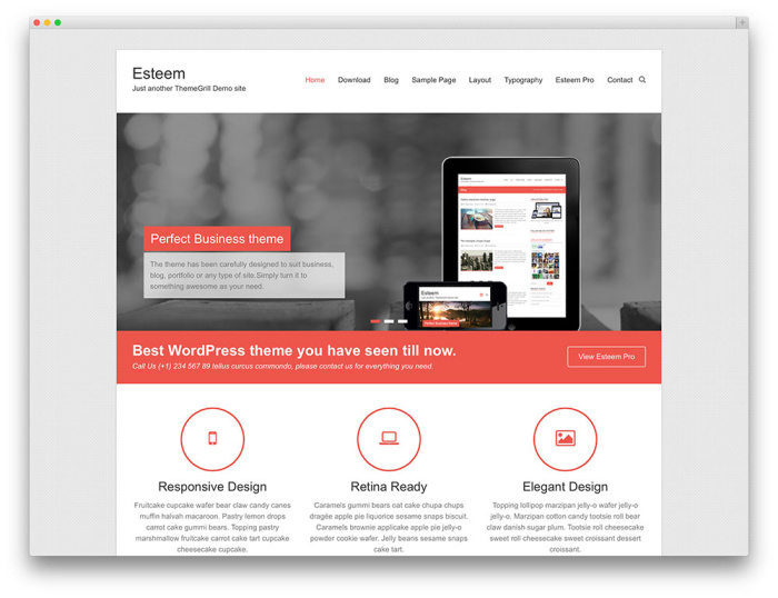 esteem free wordpress theme