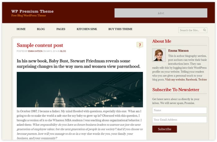 wp premium free wordpress theme