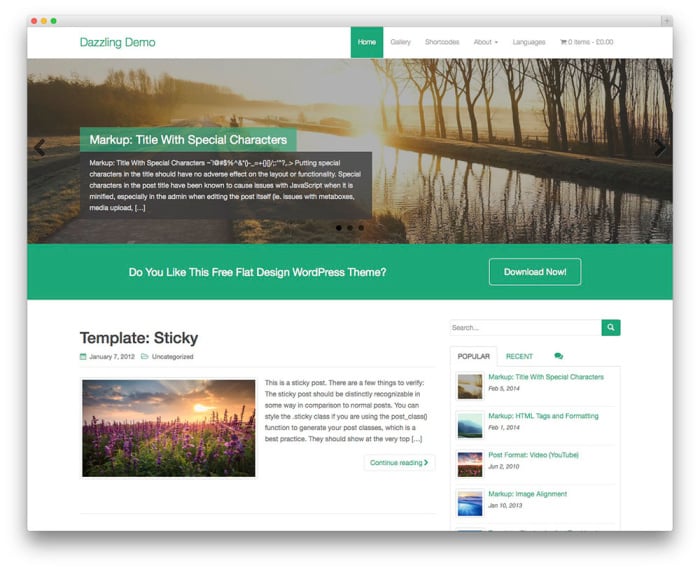 dazzling free wordpress theme 