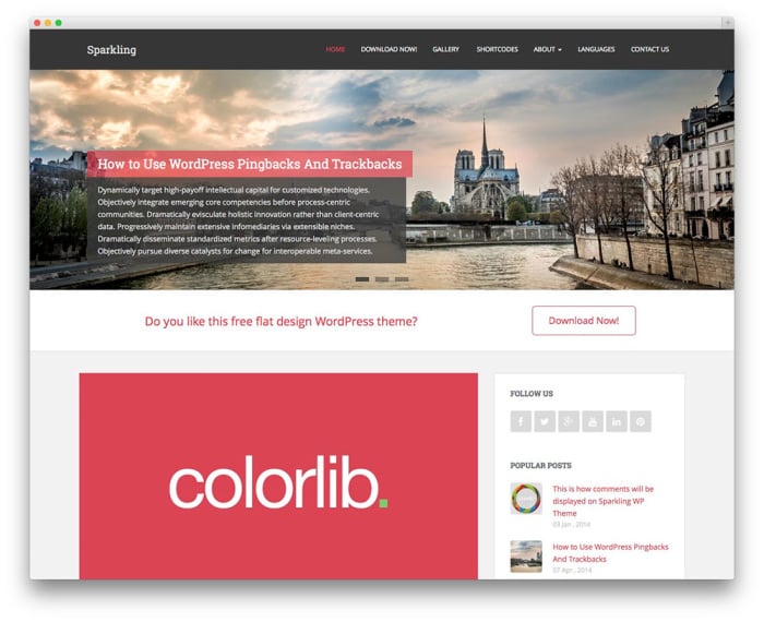 sparkling free wordpress theme 