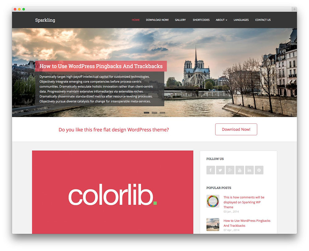 wordpress themes