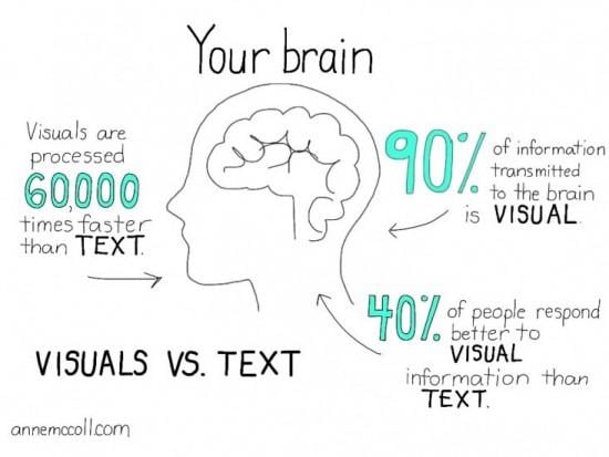human-brain-visuals-text
