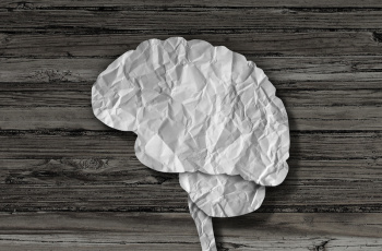 Brain Paper