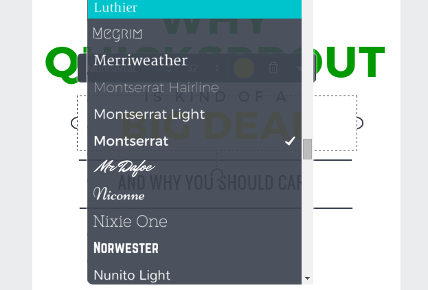 como usar a captura de tela canvaa de fontes de design gráfico para iniciantes. 