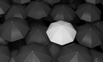 Classic large black umbrellas tops with one white standing out.