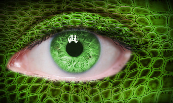 Green eye with lizard pattern