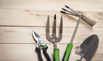 garden tools on wooden background