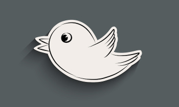 Bird icon with shadow
