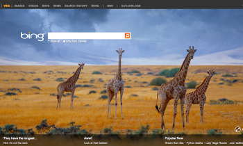 bing