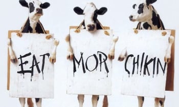 eatmorechikin