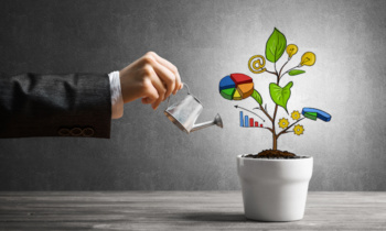 Drawn income tree in white pot for business investment savings and making money