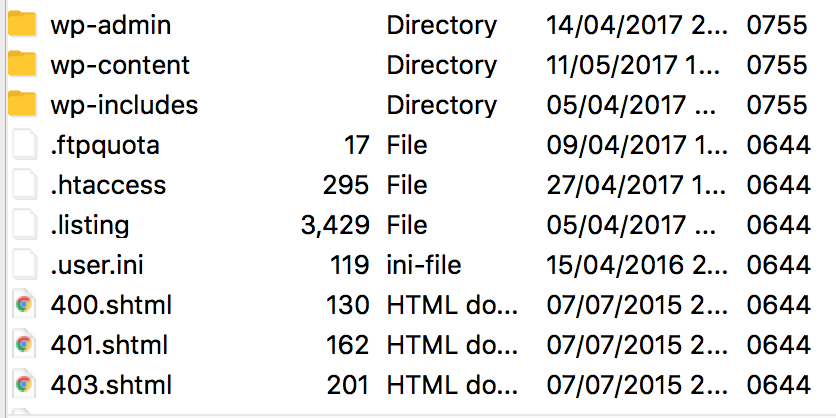 index website install tracking script 