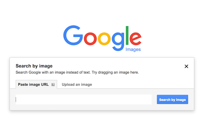 reverse image search to build
