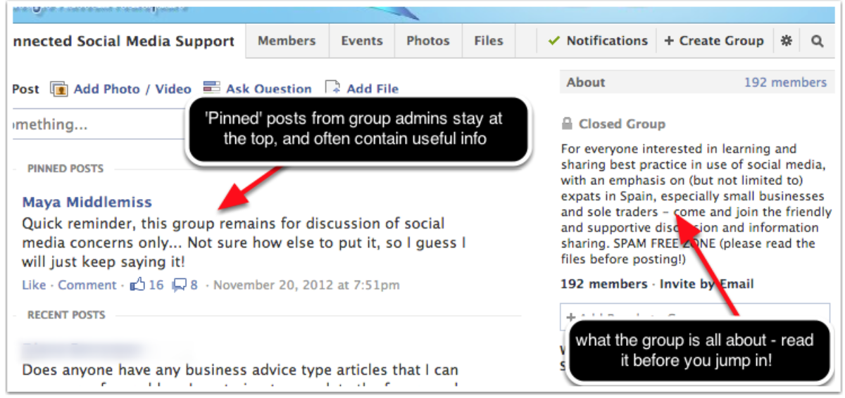 A group description and pinned post for a Facebook group.