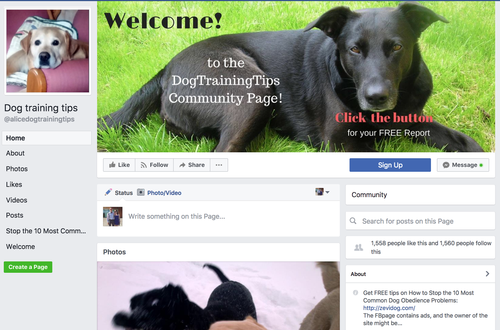 grow your facebook group by posting in other groups 