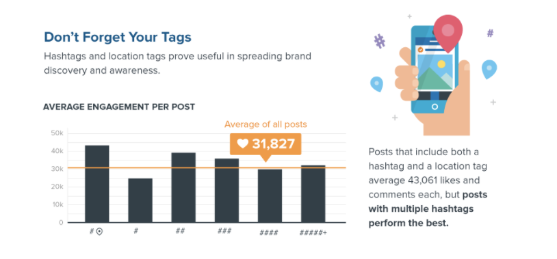 Brand Lessons from IG Pet Celebrities Infographic Marketo