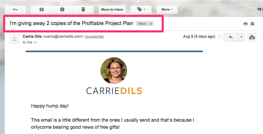 I m giving away 2 copies of the Profitable Project Plan stephen g roe gmail com Gmail