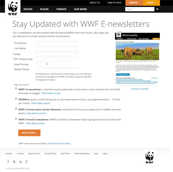 WWF VersionBlg