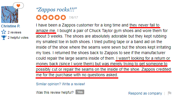 Zappos Reviews Christine how to improve website crediblity 