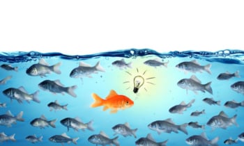 against the stream – opposite concept – leader goldfish