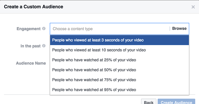 video views custom audience