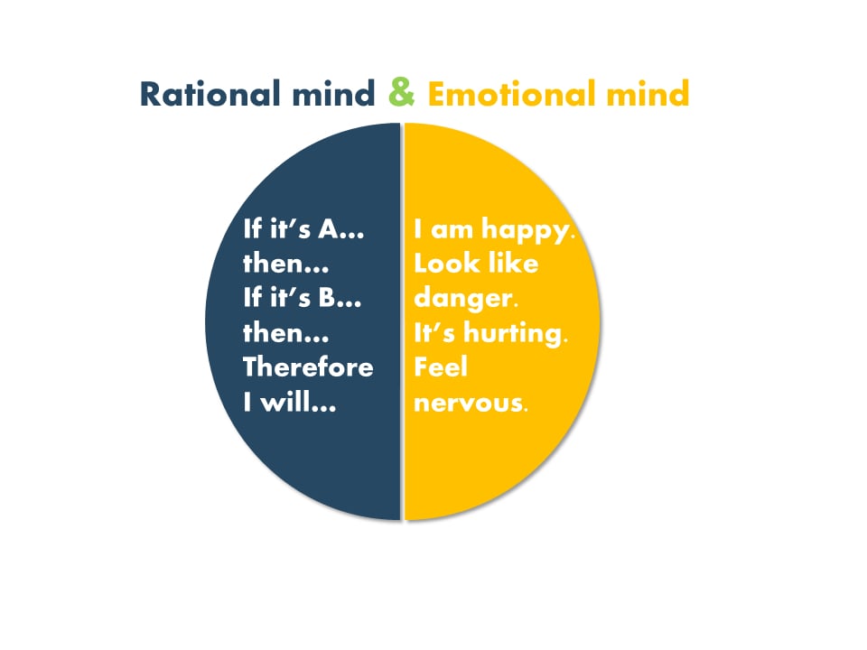 rational and emotional mind in emotional marketing