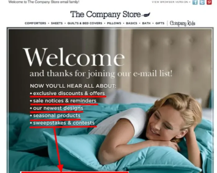 A welcome email with clearly defined information.
