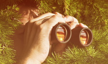 steal-competitors-backlinks