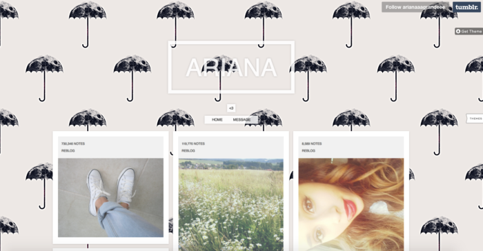 Ariana Tumblr Guide de marketing des médias sociaux