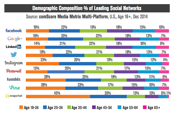 graphique démographique du guide de marketing des médias sociaux