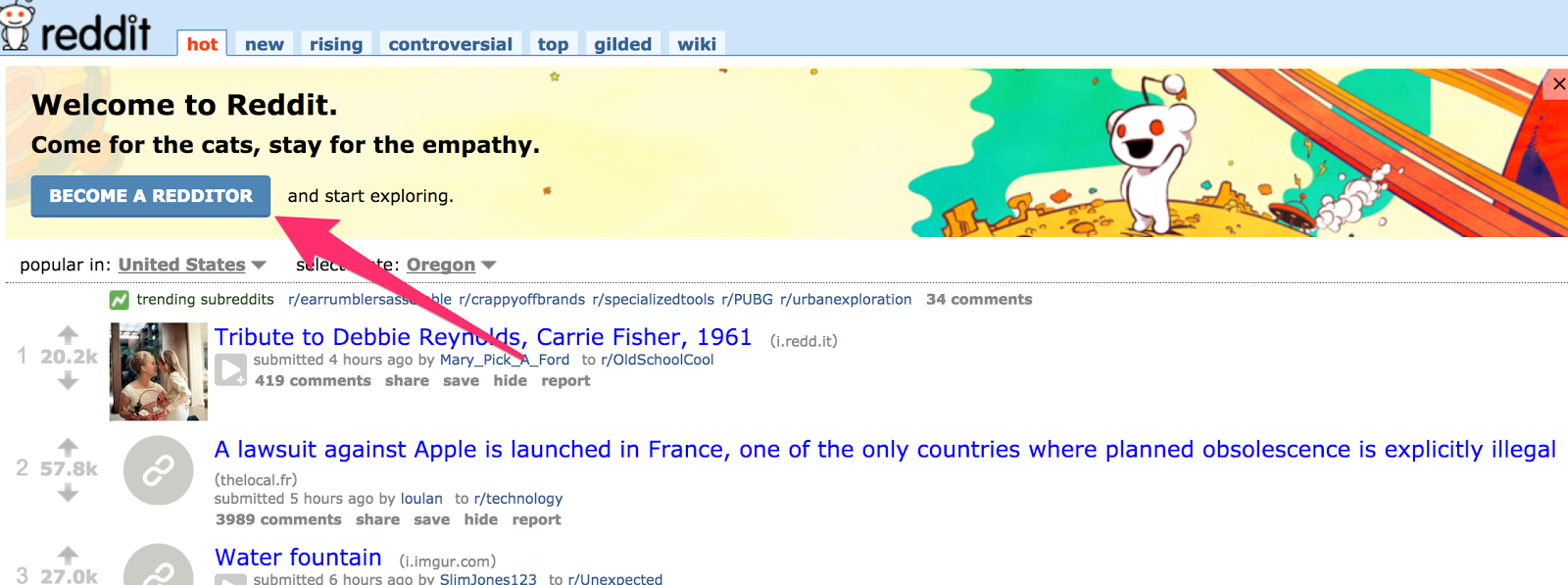 reddit the front page of the internet