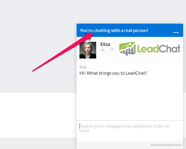 lead chat