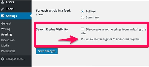 wordpress search visibility