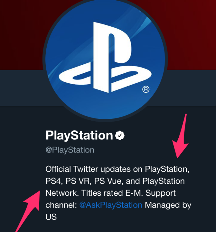 playstation bio example twitter follower guide