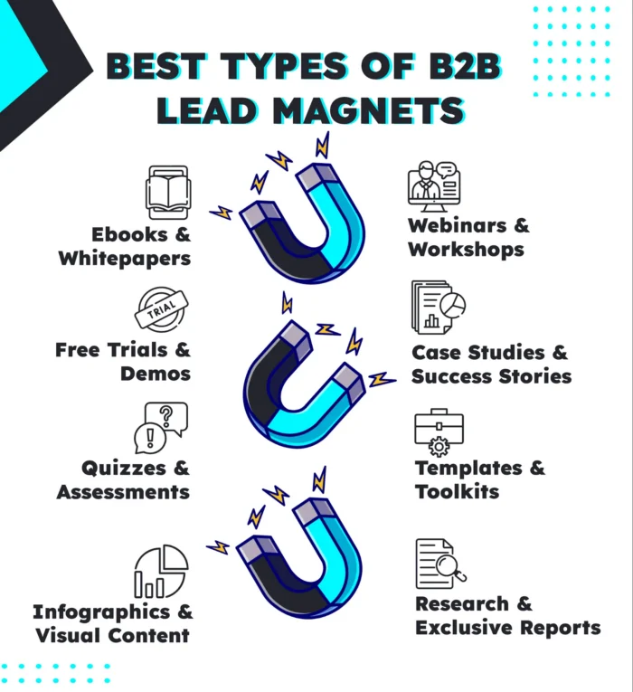  Best types of B2B lead magnets infographic