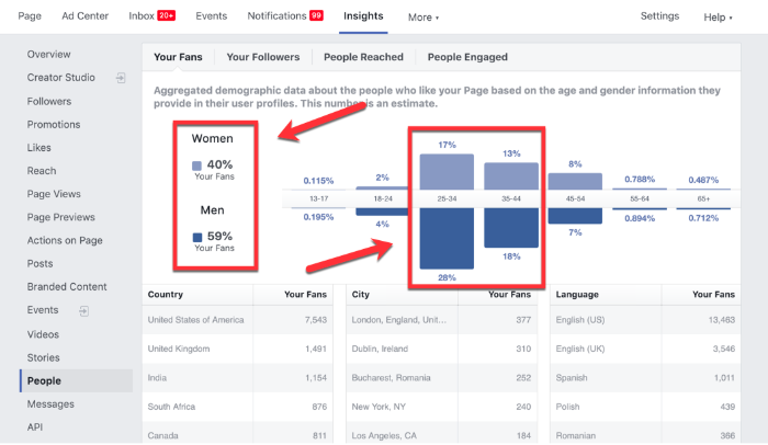 Facebook page insights demographics