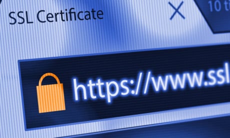 janela de SSL Certificate