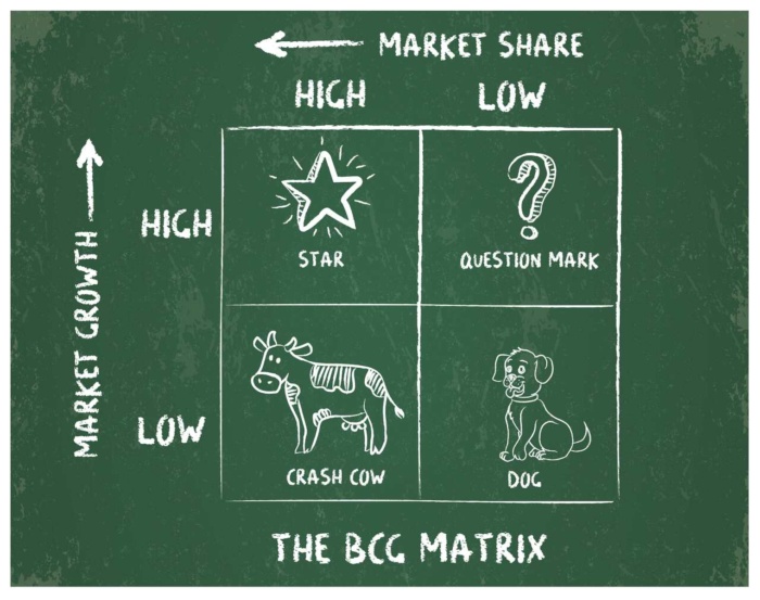 exemplo de matriz BCG