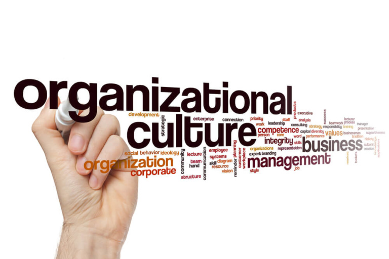 O Que é Cultura Organizacional Tipos, Exemplos e Importância